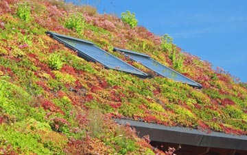Lurley living roof systems
