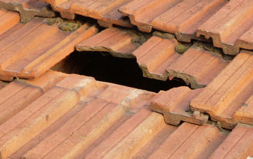 roof repair Lurley, Devon